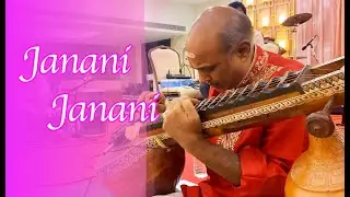 Janani janani | LIVE Instrumental cover | Team Veena Vaani Orchestra