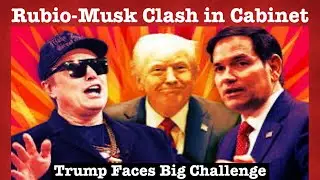 Rubio, Trump Officials Clash With Elon Musk In Cabinet Meeting And Trump Steps In