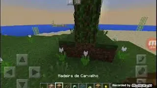 Treles porta para o mundo que eu achei
