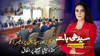Agreement Reached on Sending Doctors & Professors to Indonesia |Seedhi Baat Beenish Saleem Kay Saath