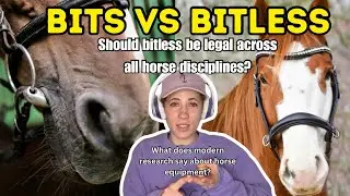 Studies on Bit Use: Should Bitless Be Legal Across All Competition?