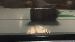 Driverless Pink Line of Delhi Metro