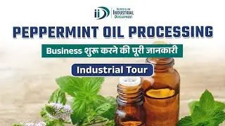 कम पूंजी में शुरू करे पिपरमिंट तेल का व्यवसाय | Low Investment Peppermint Oil Processing Business