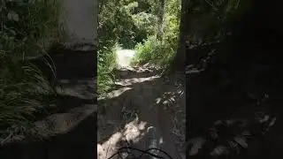 Pedal Fine . Steep and Dusty.  lots of tech chutes #mtb #kenevo #mtbrace #enduro