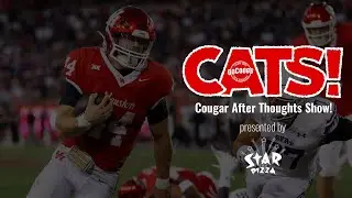 CATS! following the Bayou Bucket