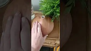 Airbnb in the Netherlands. Wait till the end 🫣