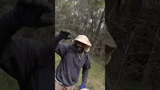 Flipping the RARE Buttermilk Racer!!!