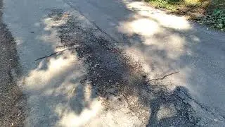 Salem Oregon Snakes