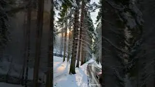 Snowfall in Winter Norway | Peaceful Cinematic Winter Landscape in 4K,