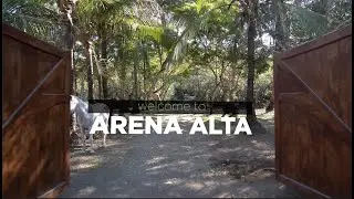 Welcome to Arena Alta, Playa Zancudo - Costa Rica