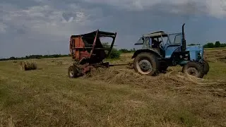 Нервный сенокос 2025