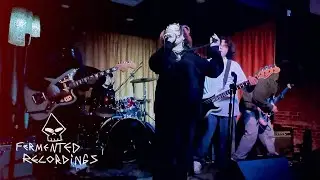 DREARY - Live at The Haven 2023 (FULL SHOW)