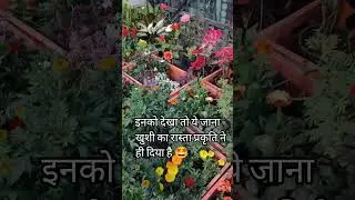 🌿It is a very dangerous addiction🌿#plants#lover #home#garden#beautiful#lovely#love#ytshorts#youtu...