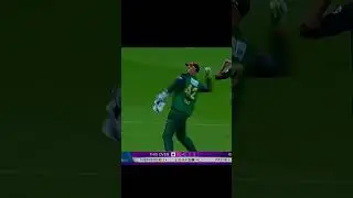 𝒕𝒉𝒆 𝒘𝒐𝒓𝒍𝒅 𝒃𝒆𝒔𝒕 𝒑𝒍𝒂𝒚𝒆𝒓 𝒂𝒏𝒅 𝒂𝒍𝒍 𝒓𝒐𝒖𝒏𝒅𝒆𝒓.#shakibalhasan #boss