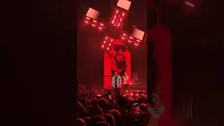 Electric Bassboy live Vienna 2025