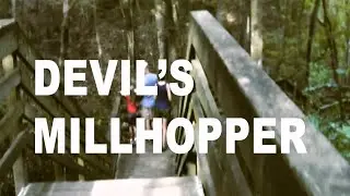 Devil's Millhopper in Gainesville, Florida