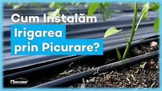 💧 Cum Instalăm Irigarea prin Picurare cu Bandă sau Tub? - Tutorial Marcoser
