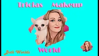 PLouise - The Money Shot Palette (Tricia's Makeup World).