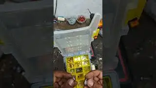 Reparación pool torcer que eléctrica 2