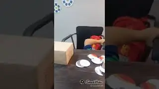 shapes and size recognition