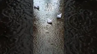paper boat race in rain 🌧️🥰.short vlog🌿☔#rain #papercraft #race