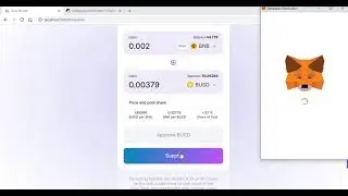 🔗 Crypto DEX Liquidity Provider: Adding Liquidity and Development 💧💻