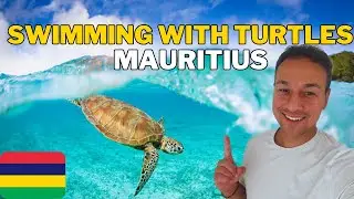 🤩 🇲🇺 Swimming with TURTLES In MAURITIUS 🇲🇺 🤩 Trou-Aux Biches