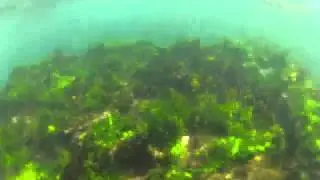 MER PEOPLE