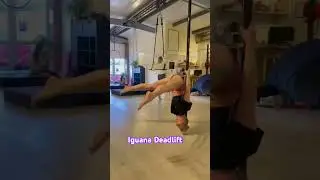 Love an iguana #deadlift #pole #poletricks #iguana ana