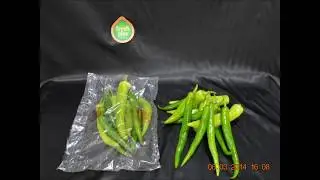 FreshPlus&reg; Modified Atmosphere Packaging Technology Green Pepper
