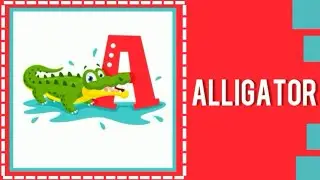 ABC song | ABC animals flashcards for kids