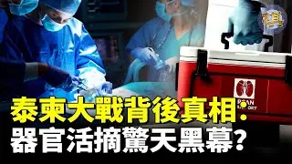 泰國柬埔寨邊境大戰內幕！美中博弈東南亞，詐騙園區＋器官活摘傳聞背後的驚人祕密！