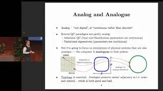 Toward protecting analog simulations from errors