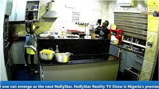 NollyStar TV Live Stream