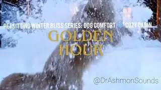 PetSitting Winter Bliss Series ❄️ Cozy Cabin Dog Comfort | 432Hz Relaxing Ambience | DrAshmonSounds