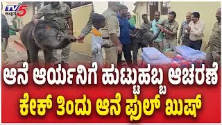ಆನೆ ಬರ್ತ್&zwnj;ಡೇ ಸೆಲೆಬ್ರೇಟ್ | Elephant Arya birthday Celebration with Cake Cutting | Forest Officers