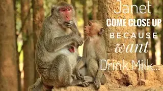Janet Come Close Up Mum Jane Becuse Want Drink Milk. Paje Monkeys.