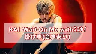 Kai-Wait On Me掛け声(音声あり)#kai #exo #waitonme #掛け声 #fanchant