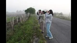 Pajareando en Las Barrancas, Mpio. Salinas, ver.