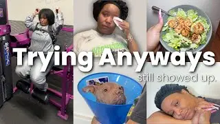 GETTING MY LIFE TOGETHER | gym days, meal prep, vet visit & REAL LIFE