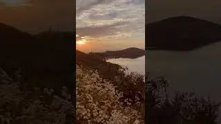 Take a Hike- Lake Poway | Mental Reset Hike 🧘🏾&zwj;♂️💪🏾 | Cali Views