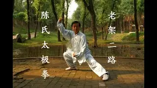 Chen Shi Tai Ji Lao Jia Er Lu - Chen Style Tai Chi Old Frame 2nd Routine - Chen Zheng Lei