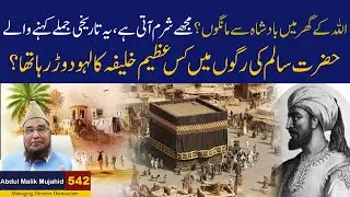 Allah ke Ghar Me Badshah Se Mango | Hazrat Salam R.A ki Ragon Me Kis Azeem Khalifa ka...Story No 542