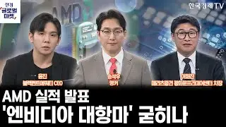 AMD 실적 발표…'엔비디아 대항마' 포지션 굳히나ㅣxAI 품는 스페이스X…테슬라 AI 프리미엄 강화되나ㅣ손석우ㅣ이화진ㅣ윤진