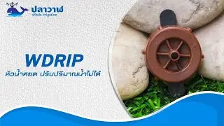 หัวน้ำหยด WDRIP By ระบบน้ำปลาวาฬ