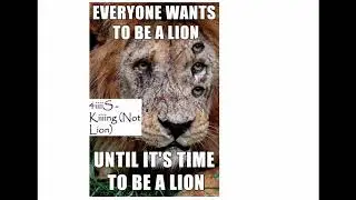 4iiiiS - Kiiiing (Not Lion)