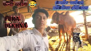  😲खेत में कोई घुस आया हमारे दोनों जर्मन शेफर्ड उसके पीछे  farm vlog india 