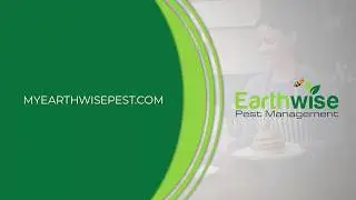 Restaurant Pest Control