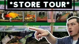 Ultimate Community Aquarium Fish Store Tour | *Must-See*