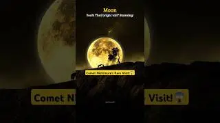 Comet Once in 400 Years!😱 #shorts #space #astronomy #skywatcher #universe #moon #ytshorts